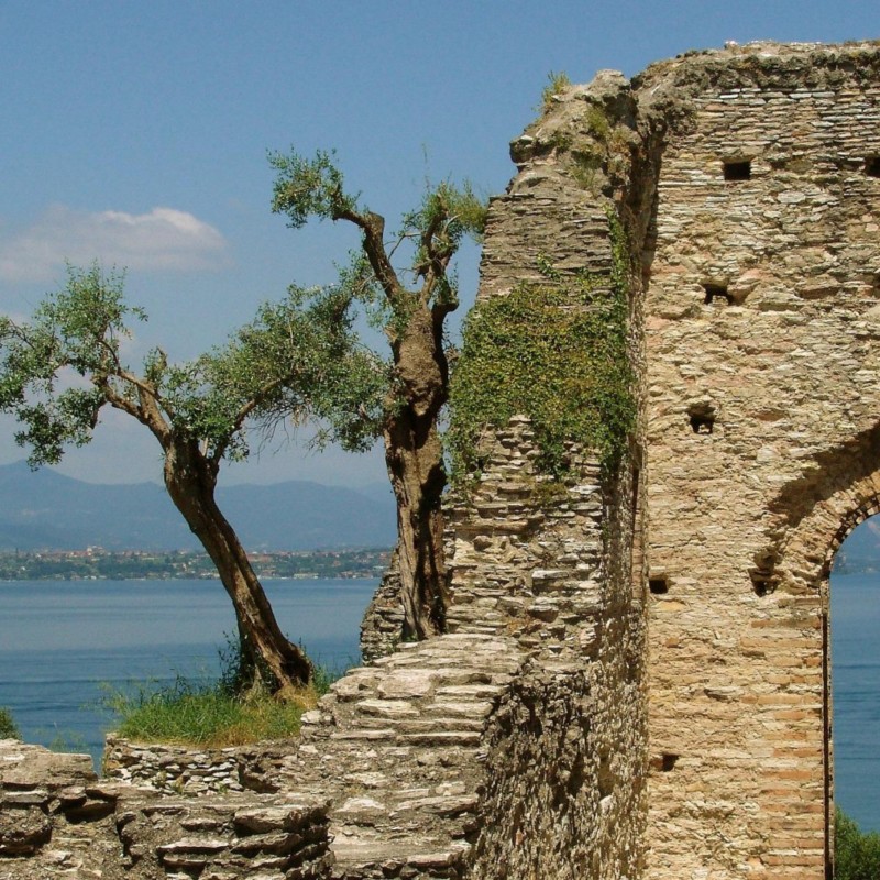 Hotel Astoria | Camere per vacanze a Torri del Benaco