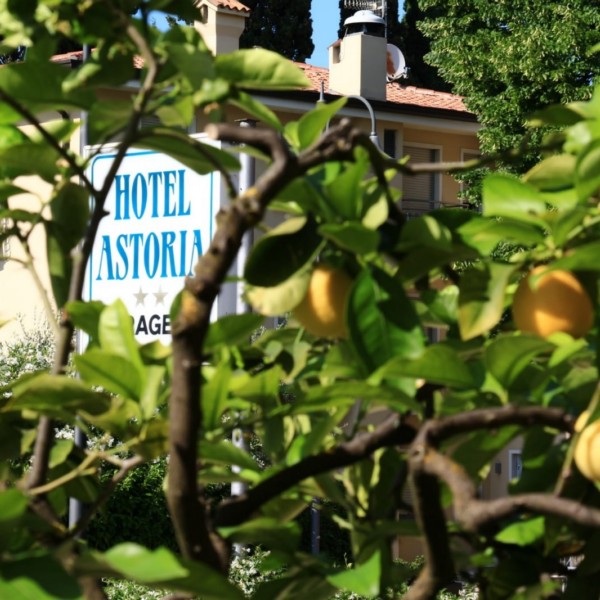 Hotel Astoria | Camere per vacanze a Torri del Benaco